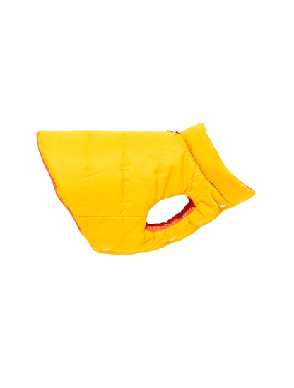 Orange and Yellow