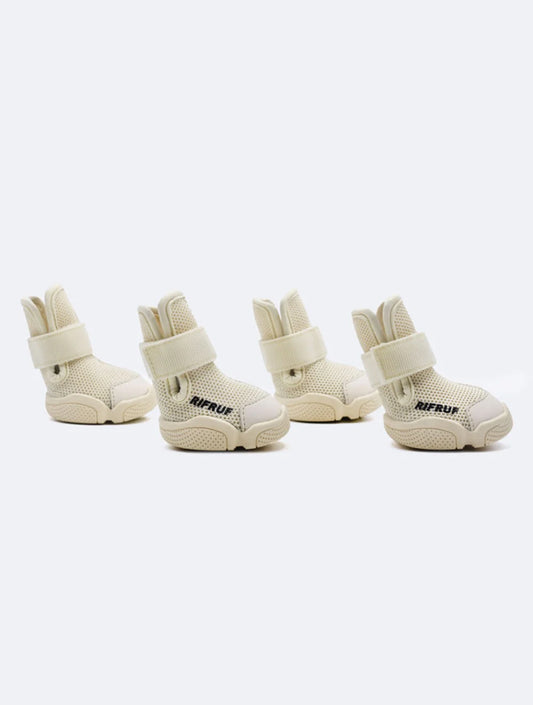Caesar 1 - Bone