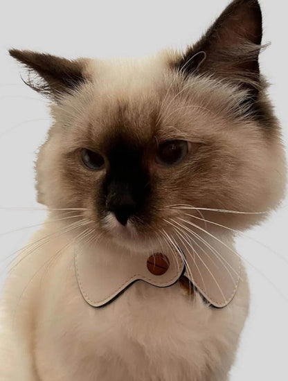 Le Smoking Collar
