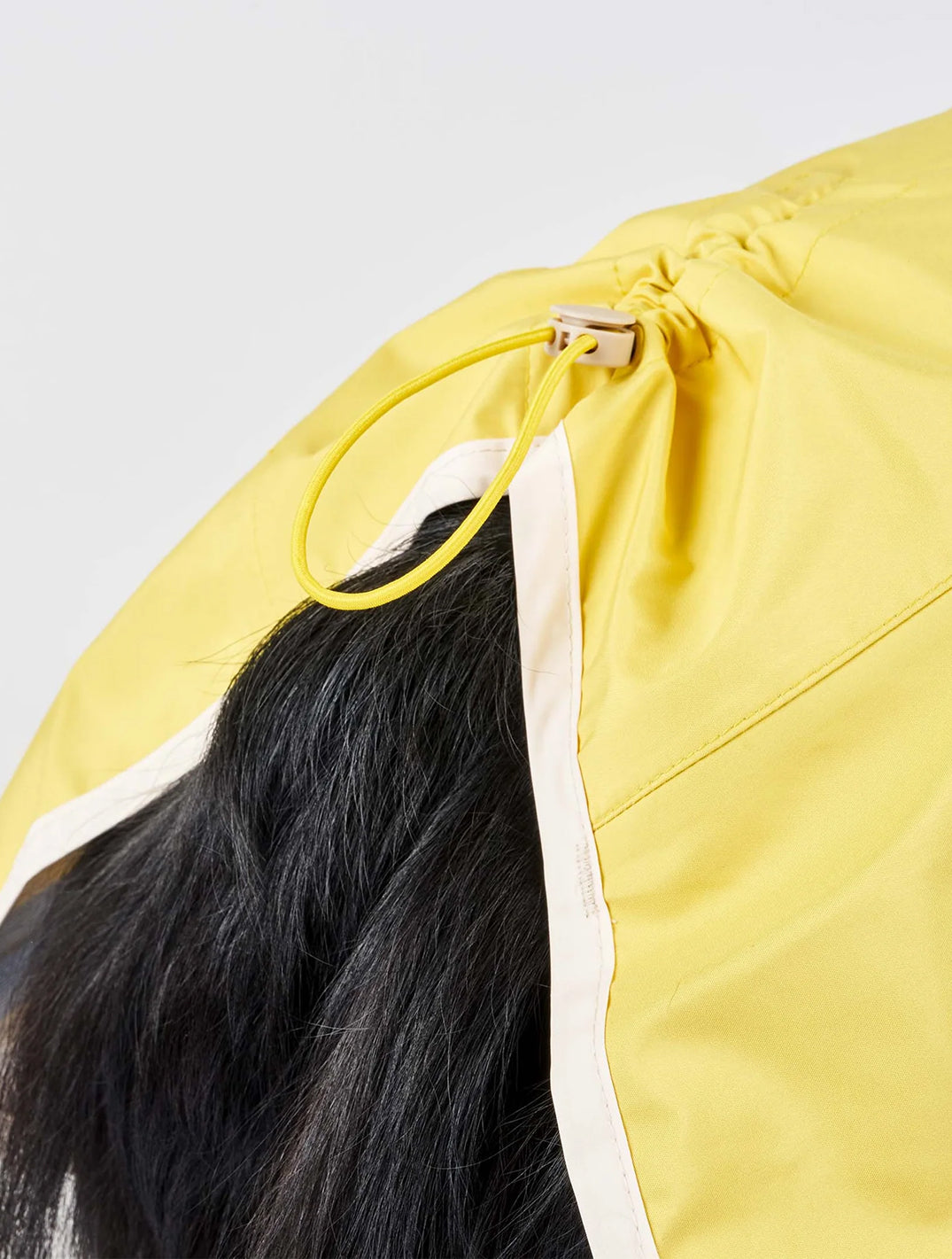 Yellow & Cream