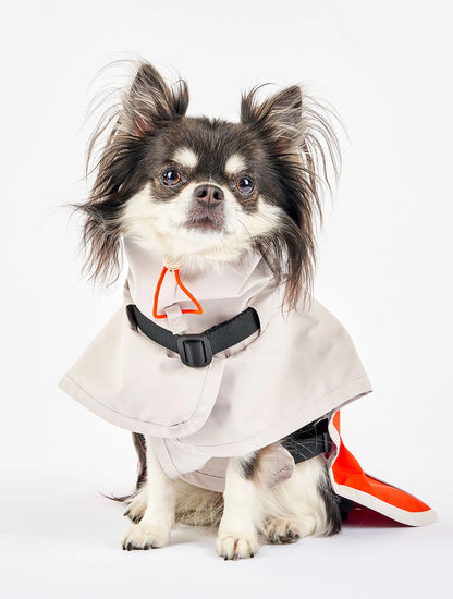 Orange & Gray