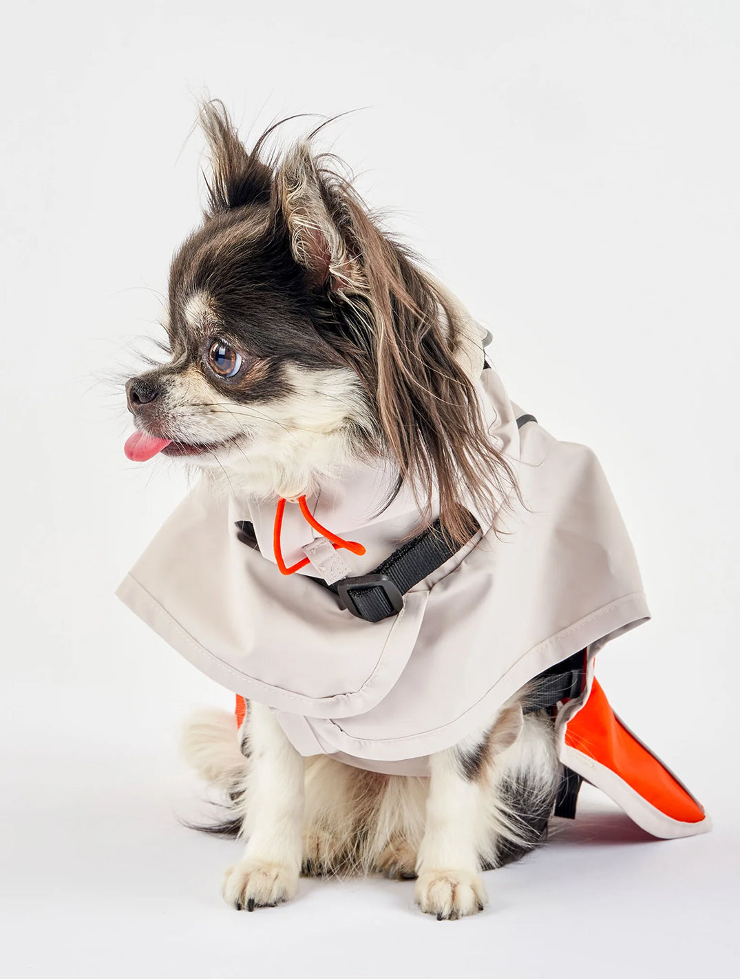 Orange & Gray