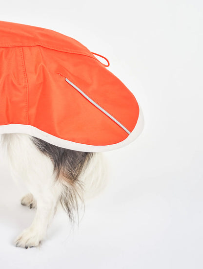 Orange & Gray